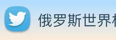 俄罗斯世界杯中国官网 Logo